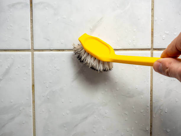Best Mold Removal Near Me  in Salamatof, AK