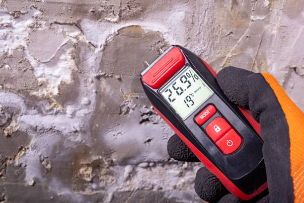 Best Water Damage Restoration  in Salamatof, AK