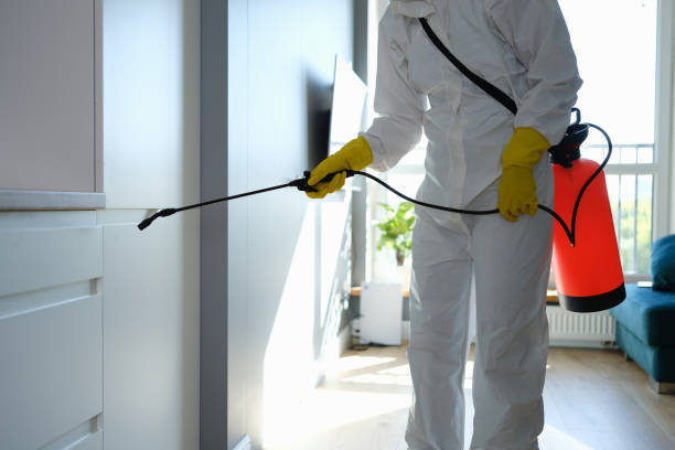 Best Mold Damage Repair  in Salamatof, AK